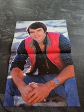 Robert Urich  - Poster  - aus der BRAVO ( 40 x  28 cm ) (1)