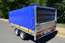 Laubgitterplane Plane für