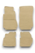 Fußmatten Teppich passend