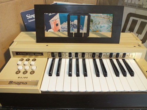Vintage magnus electric - vintage,