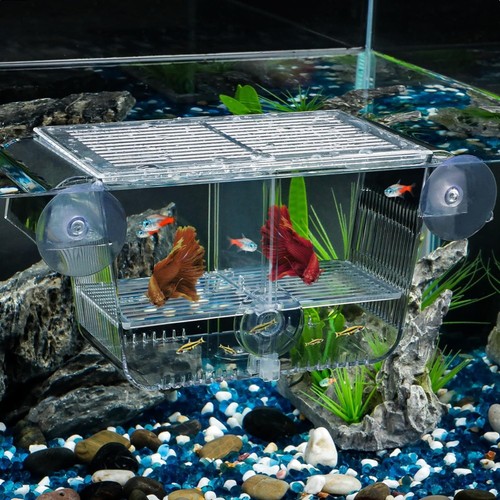 Ablaichkasten aquarium - ablaichkasten,