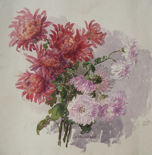 Hermine faulhaber astern - faulhaber,,