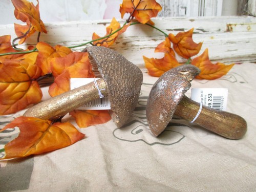 Pilze pilz silber braun - silber,
