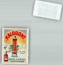 38119873 - Osijek Kalodont