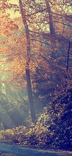 Herbst park natur tapete - herbst,