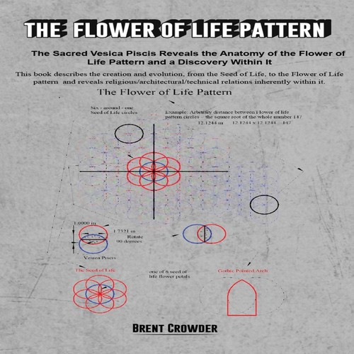 The flower life pattern - of,