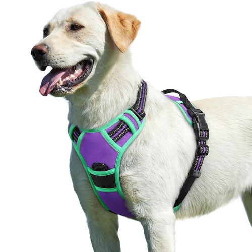 Hundegeschirr groß