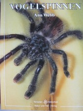 Vogelspinnen Natur und Tier