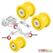 Busches Für Die Hintere