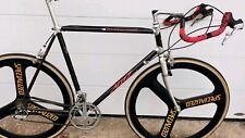 Specialized Allez Carbon Rahmen Dura Ace 7400 Gruppe Rennrad Vintage Klassiker 