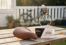 Bikeroo Cruiser Bike