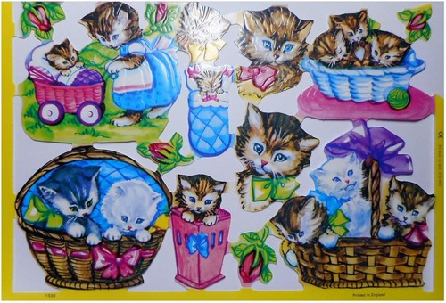 Glanzbilder katzen baby katze - glanzbilder,