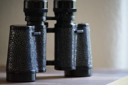 Svarovski habicht fernglas - svarovski,