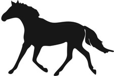 Aufkleber Pferd