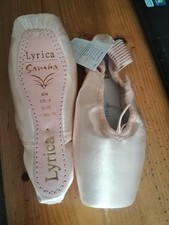 Spitzenschuhe Sansha, Modell