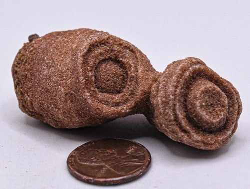 Doppel stromatolith - ",