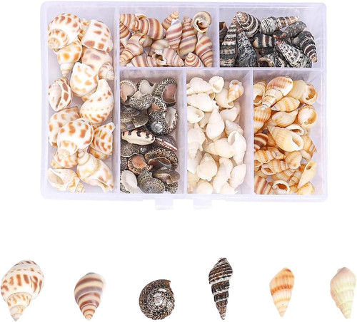 Muscheldekorationen 100 stück - muscheldekorationen,