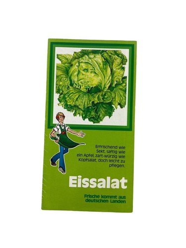Eissalat frische kommt - eissalat,