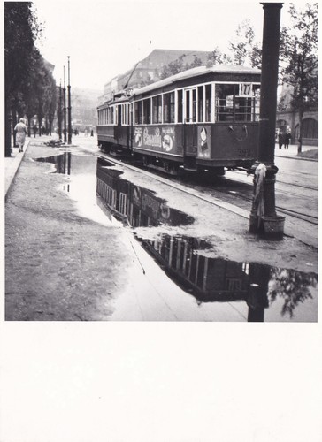 Foto 12x16cm strab linie - 12x16cm, 117