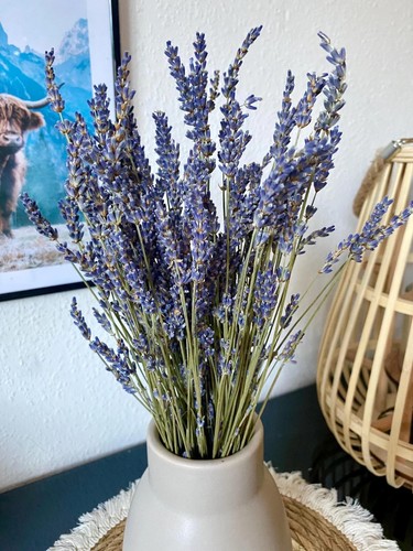 Lavendel getrockneter - ,
