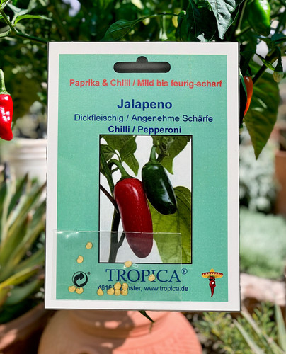 Jalapeno chili samen capsicum - chili,