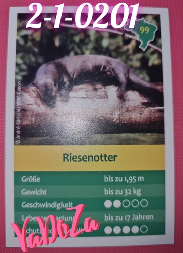 Entdecke brasilien - entdecke,