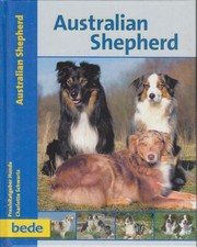 Australian shepherd charlotte - australian,