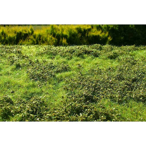 Grasmatte 18x28cm niedrige - grasmatte,