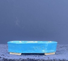 Bonsai Shohin Bonsaischale