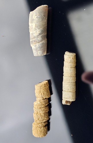 Meteoriten impakt ries - meteoriten,