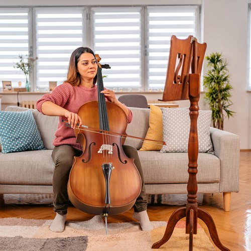 Cello set violoncello - cello,