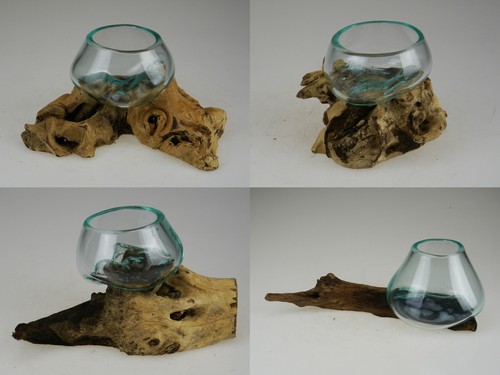 Holzwurzel kaffeebaum vase - kaffeebaum,