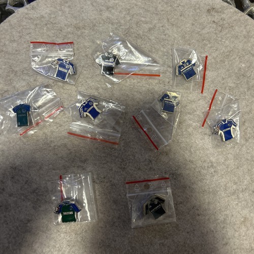 Schalke pin anstecker - schalke, 04