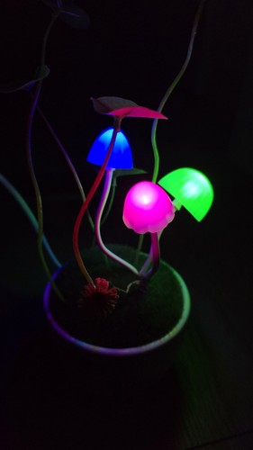 Led pilzlampe - led,