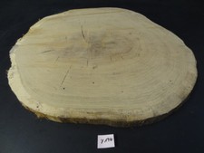 Eiche Baumscheibe massiv