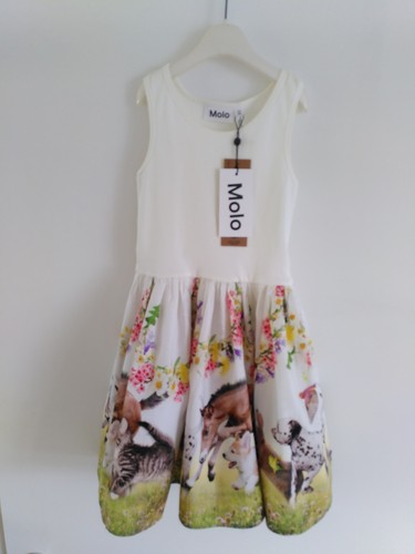 Molo kleid cassandra mit - kleid,