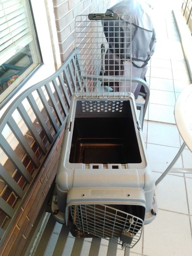 Anione transportbox - anione,