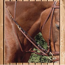 Euroriding Thiedemann