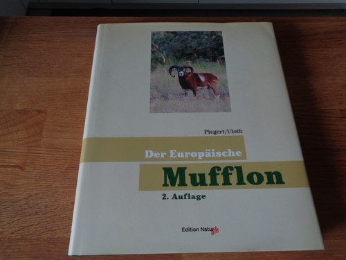 Der europäische mufflon - der,