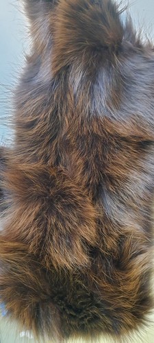 Schal loop fuchs kragen - loop,