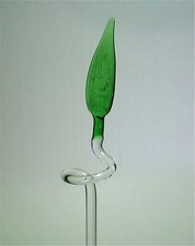 Orchideenstab Glas mit Blatt
