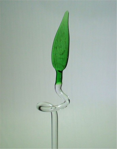 Orchideenstab glas mit blatt - orchideenstab,