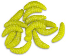 15 Stück Bienenmaden