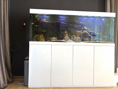 Friedeberg aquarium 200x60x70 - aquarium,