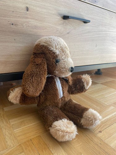 Hund mit anzug gestreift blau - gestreift,