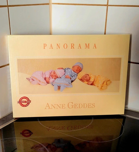 Panorama puzzle anne geddes - anne,