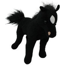 Schwarzes pferd stehend - schwarzes, pferd,
