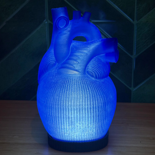 Anatomische herz lampe blau - anatomische,