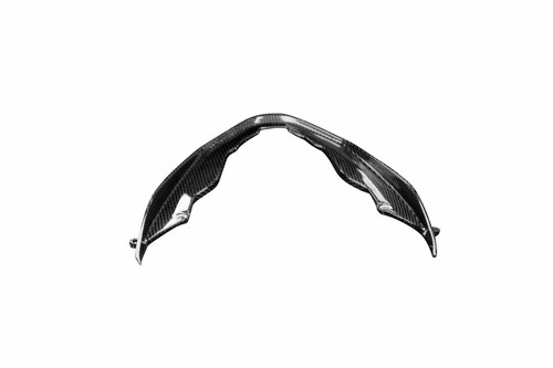 Carbon bugspoiler für ducati - carbon,