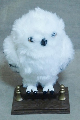 Eule hedwig harry potter - eule,